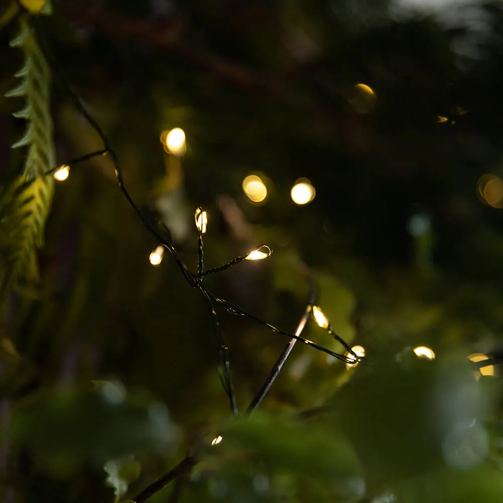 Green Wire LED Fairy Lights