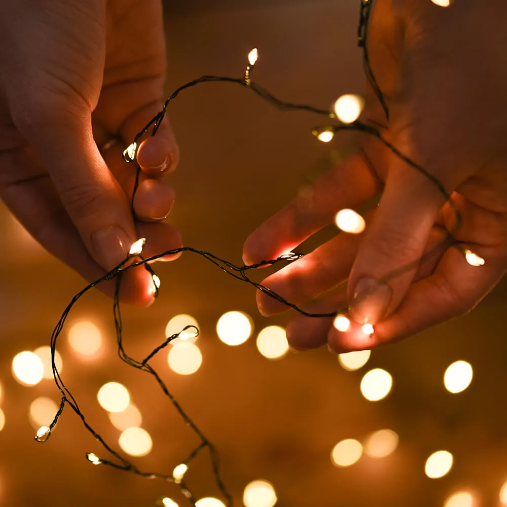 Green Wire LED Fairy Lights