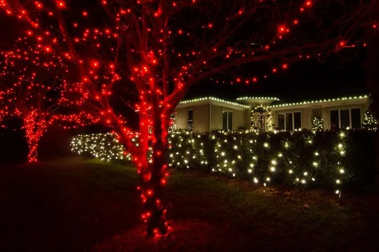 LED Fairy Lights Red (20m)