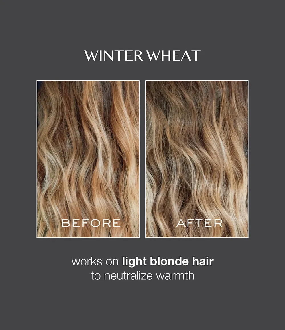 Signature Hair Gloss - Winter Wheat